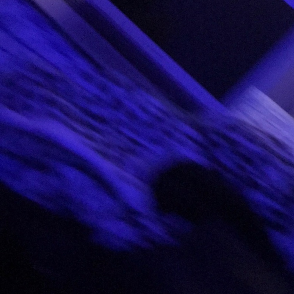 Meet your Posher, Maddie